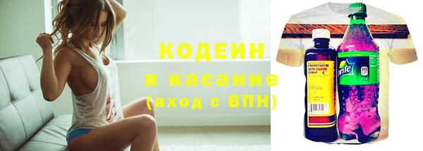 амф Гусев