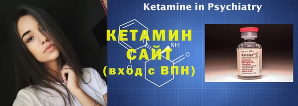 ПСИЛОЦИБИНОВЫЕ ГРИБЫ Ельня