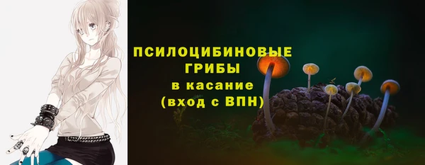 ПСИЛОЦИБИНОВЫЕ ГРИБЫ Ельня