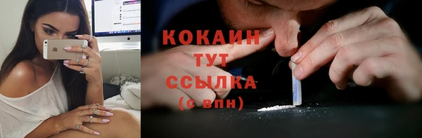 ПСИЛОЦИБИНОВЫЕ ГРИБЫ Ельня