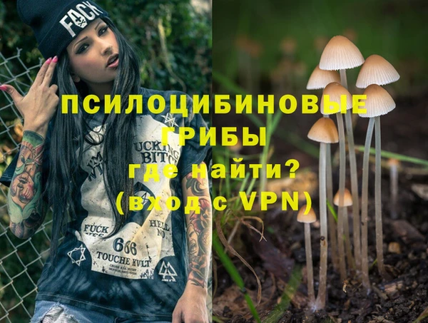 скорость mdpv Елизово