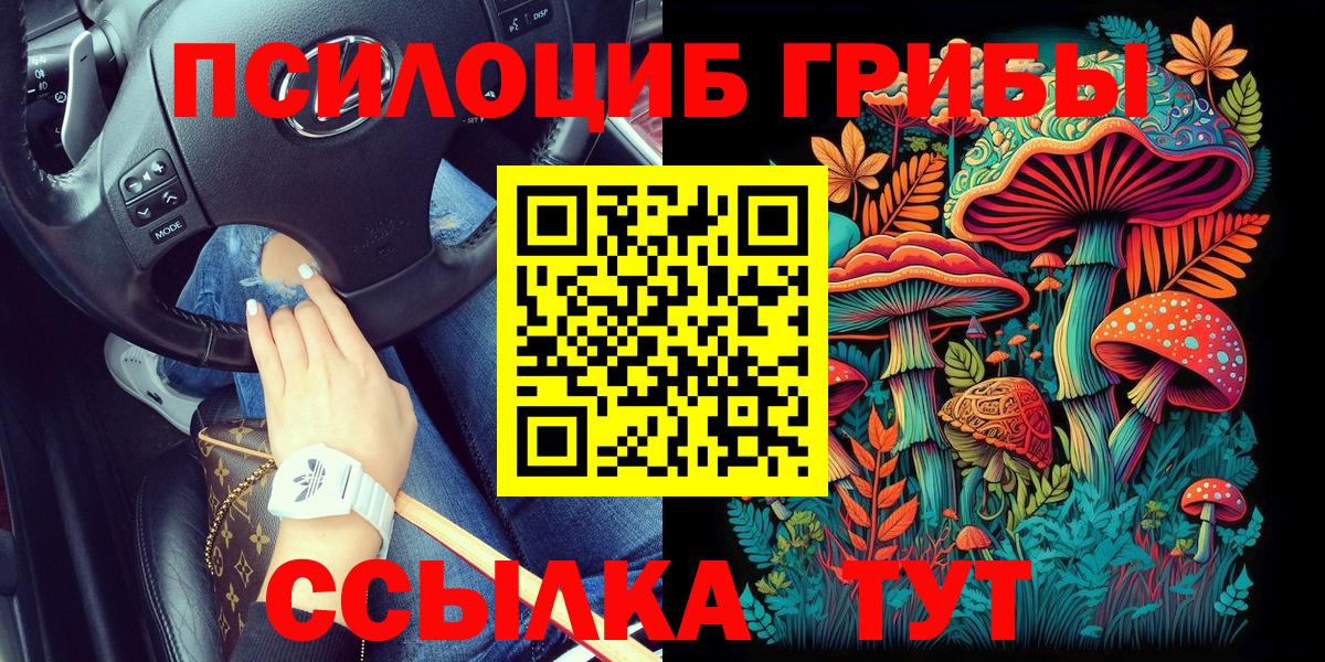 Галлюциногенные грибы мицелий  Вход с VPN  купить наркотики цена  Галлюциногенные грибы Psilocybe  Новомосковск 