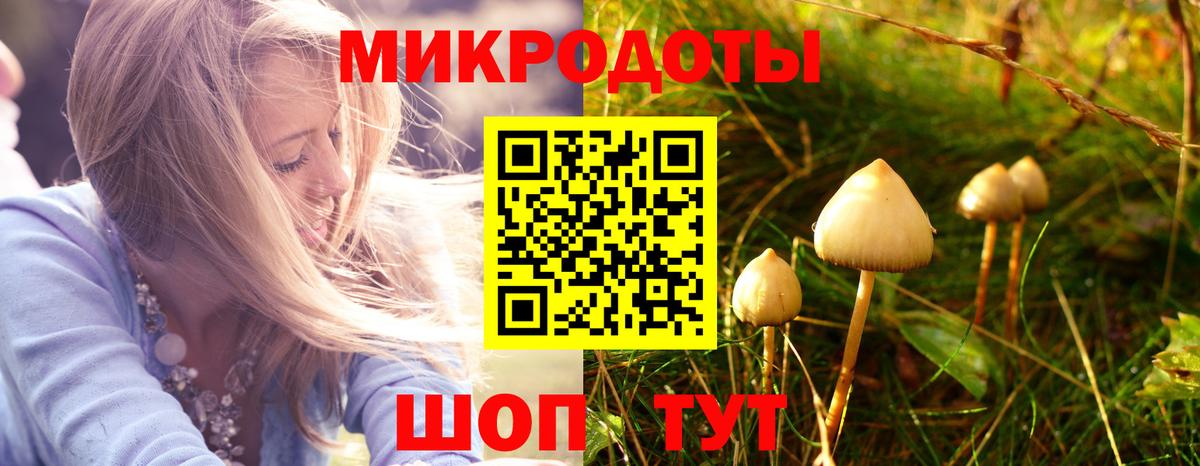 Галлюциногенные грибы прущие грибы Новомосковск